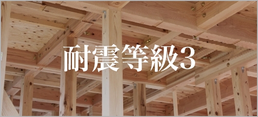 耐震等級3(許容応力度計算)